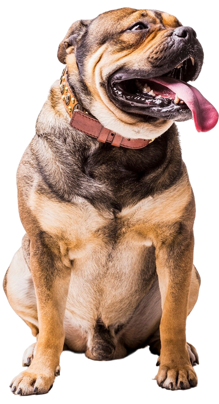 Controle de Produtos e Serviços